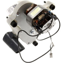 Delonghi 7313230501 Mahlwerk